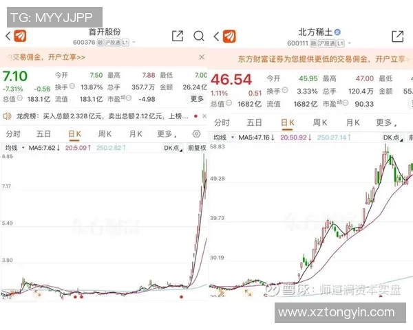 指数与都九龙的对比分析探讨市场趋势与投资策略的启示