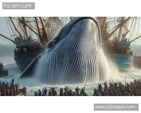 名古屋鲸鱼的传奇故事与城市文化交融的奇妙旅程