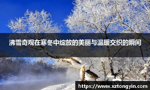 三亿体育平台